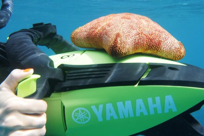 Sea Scooter Half Day Morning Lanai Tour Sanity Vessel With 2 Snorkel Stops - Good To Know