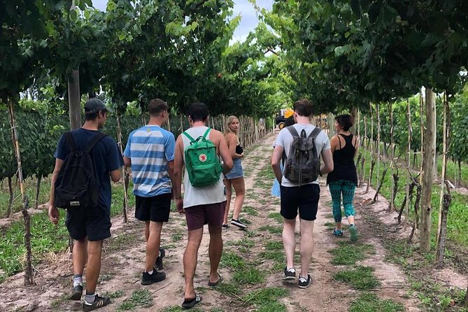 Self-Guided Bike Tour in Luján De Cuyo (Mendoza) - Good To Know