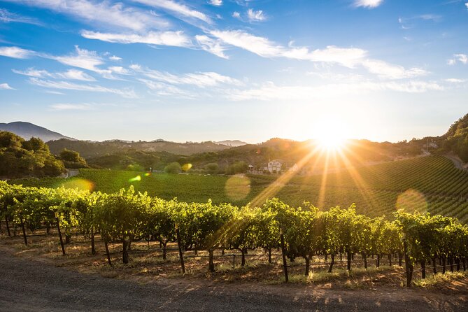 Shore Excursion in SFO - Enchanted Napa & Sonoma Wine Tour in SUV - Tour Highlights