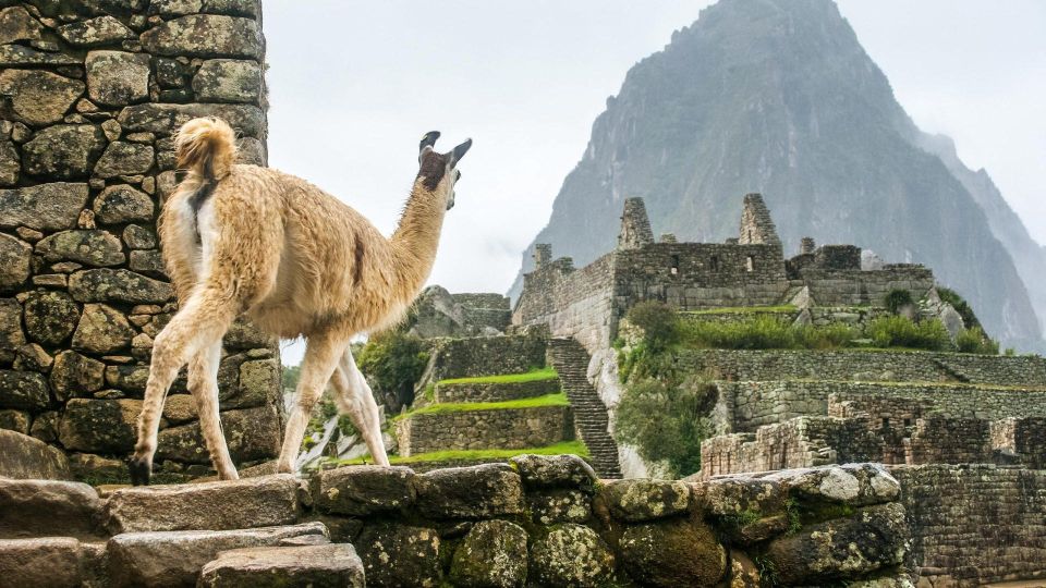 Short Inca Trail to Machu Picchu 2 Days - Booking and Logistics