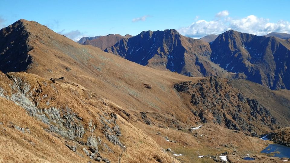 Sibiu: 1-Day Hiking Tour in the Carpathian Mountains - Experience Highlights
