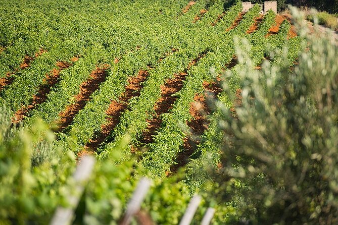Sicily Farm Pizza Cooking Class With Wine - Farm Location and Setting