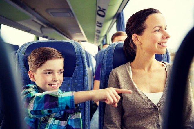 Small-Group Arrival Transfer: San Jose Airport to La Fortuna (Mar ) - Accessibility and Amenities