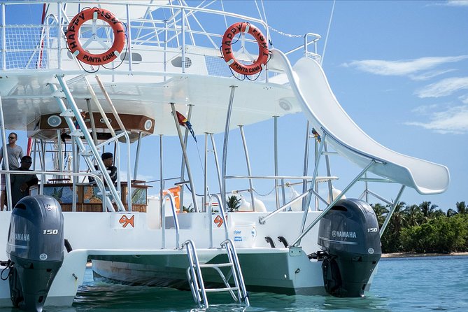Small Group Snorkeling Catamaran Trip With Drinks and Snacks - The Sum Up