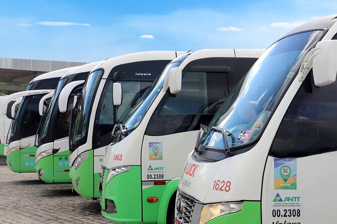 Smooth Transfer Service From Recife Airport to João Pessoa - Traveler Visual Content