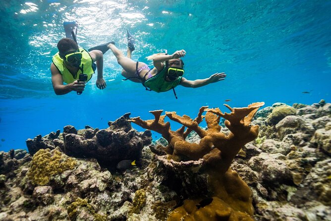 Snorkeling Activity With Boat Ride in Montego Bay - Activity Overview