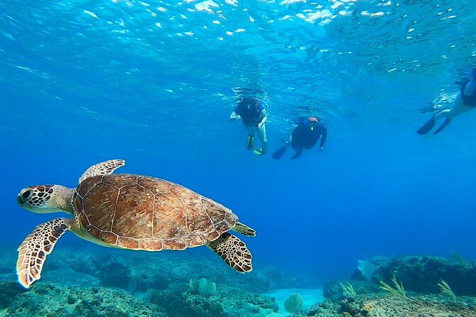 Snorkeling Aguadilla for Families With Children - Good To Know