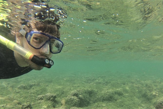 Snorkeling in Gatas Bay - Gatas Bay Snorkeling Highlights