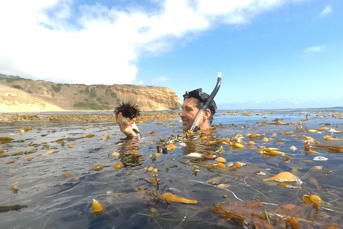 Snorkeling Los Angeles - Good To Know