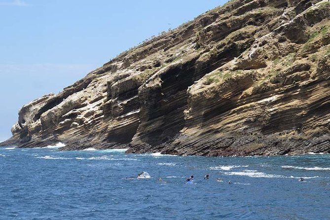 Snorkeling Tour at Tortuga Island From Isabela - Tour Highlights