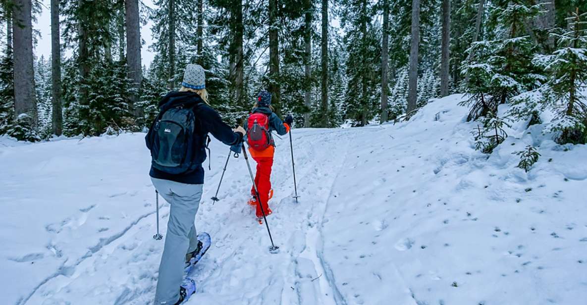 Snowshoeing in Triglav National Park - Booking Details