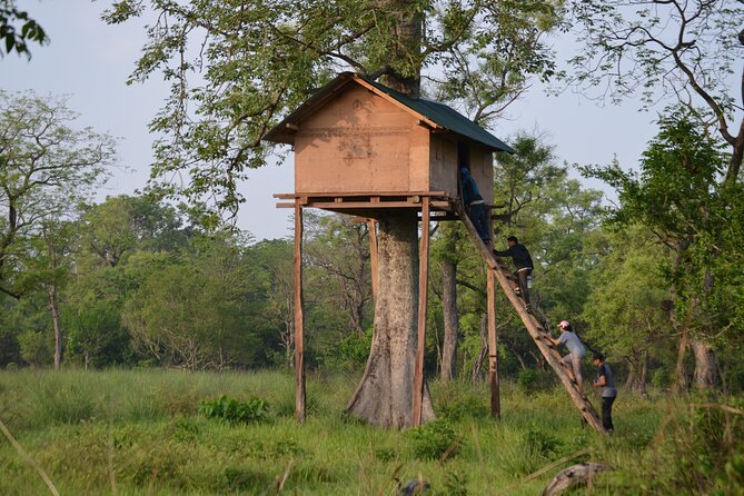Spend a Night in a Tree House in Bardiya - Additional Information