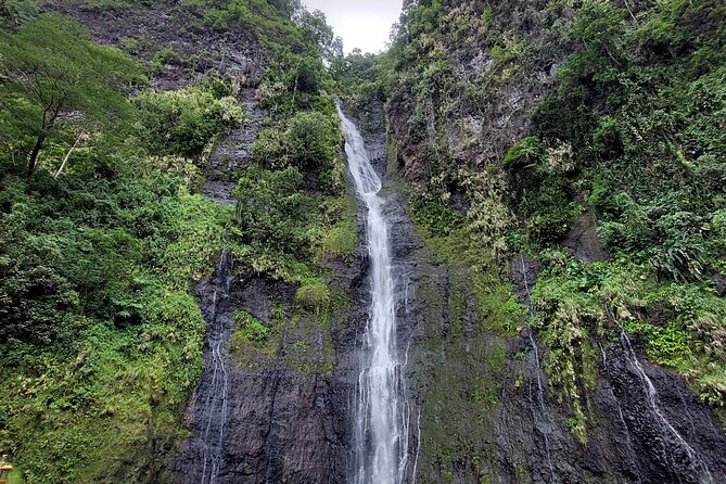 Tahiti Fautaua Valley and Big Waterfall Private Hiking Tour - Tour Itinerary