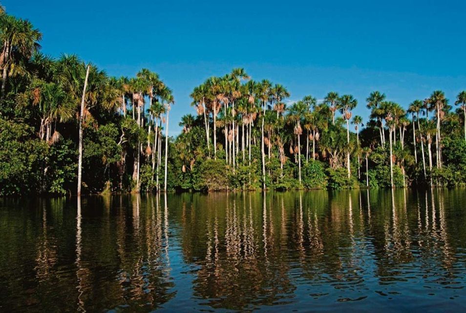 Tambopata: Lago Sandoval and Colpa of Loros 3- Days - Activity Details