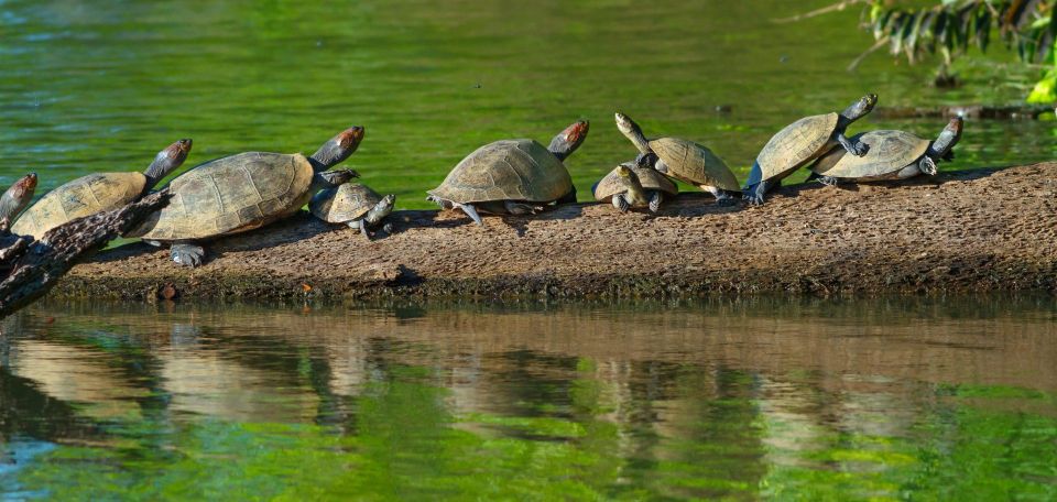 Tambopata National Reserve Tour 3 Days - Tour Itinerary Highlights