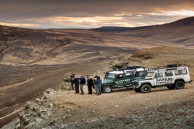 The El Calafate Safari Experience - Tour Highlights