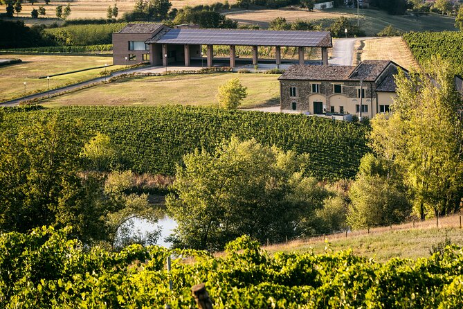 The Iconic Ones of Parma: Visit and Wine Tasting at Monte Delle Vigne - Location and History of Monte Delle Vigne
