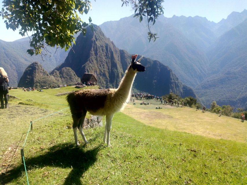 The Mysteries of Cusco and Machupicchu Huchuy Qosqo - Historical Background of Cusco and Machupicchu Huchuy Qosqo