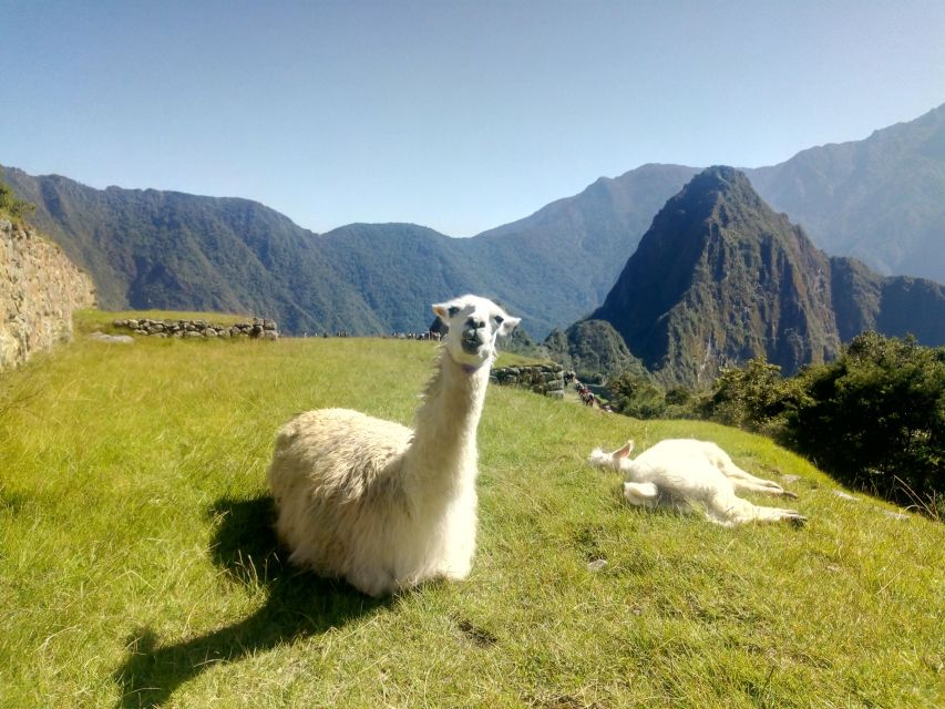 The Peru of the Andes - Traveling to Perus Andean Wonders