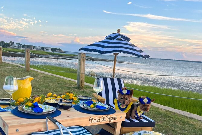 Themed Luxury Picnics in Charleston, South Carolina - Exquisite Picnic Locations