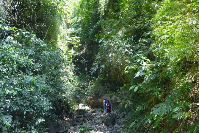 Thrilling Maderas Volcano Hike Unveiled - Overview of Maderas Volcano Hike