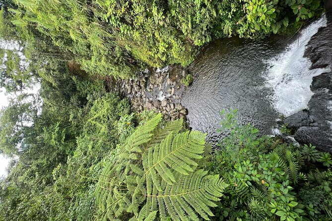 Thrilling National Park Expedition Awaits - Booking Information