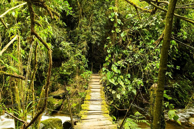 Thrilling Santa Rita Waterfall & Salento Hike - Santa Rita Waterfall: A Natural Wonder