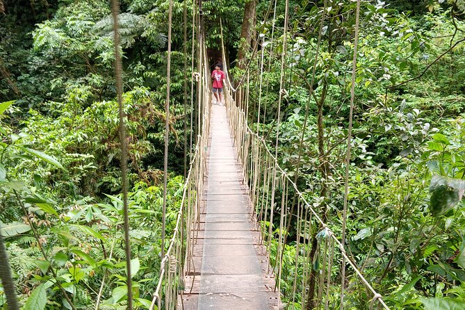 Thrilling Trek to El Tigre Falls - Trail Overview and Difficulty Level