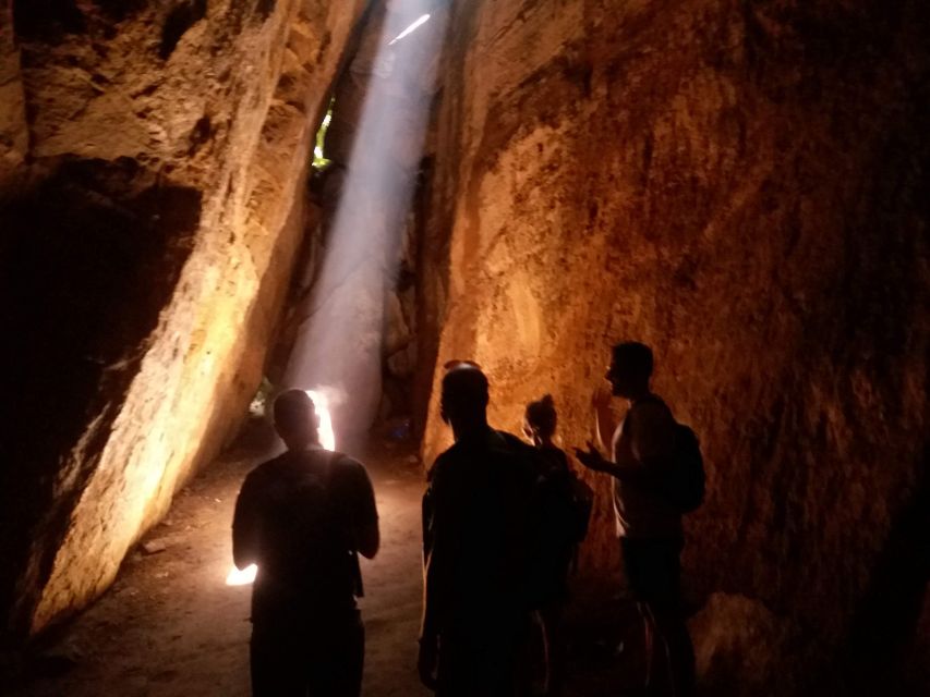 Tijuca Forest: Adventure & History Half-Day Hike
