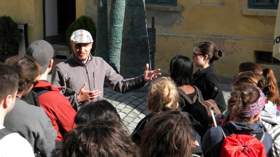 Timisoara: Classic Walking Tour - Good To Know