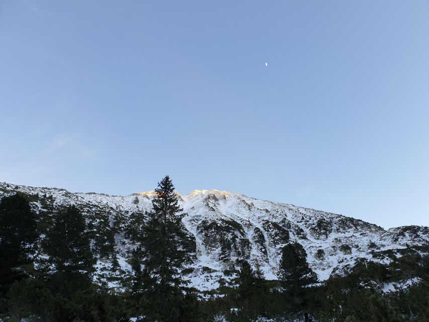Timisoara Dream Tours: Let's Go Hiking in Retezat Mountains - Good To Know