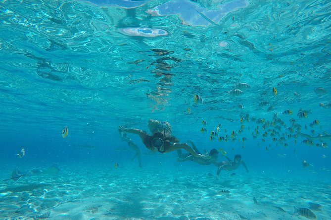 Toa Boat Bora Bora Private Lagoon Tour With Lunch on Entertainer Bar Boat - Authentic Reviews and Ratings