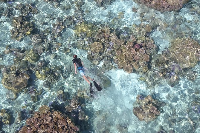Tohora Bora Bora Snorkeling Lagoon Tours - Pickup and Logistics