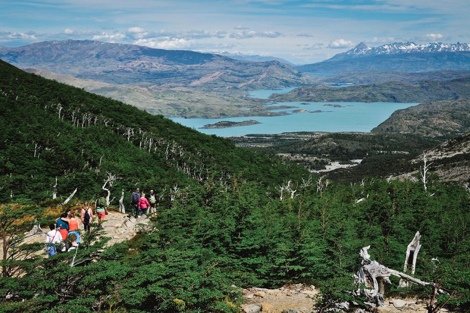Torres Del Paine: W Circuit in Camping (5 Days) - Activity Details
