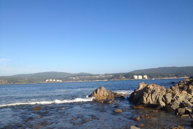 Tour Around the Coast Towns in Tomé & Dichato - Dichato: A Charming Seaside Escape