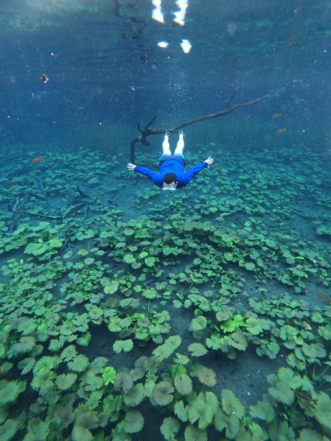 Tour Blue Crater Private Day Tour - Booking Information