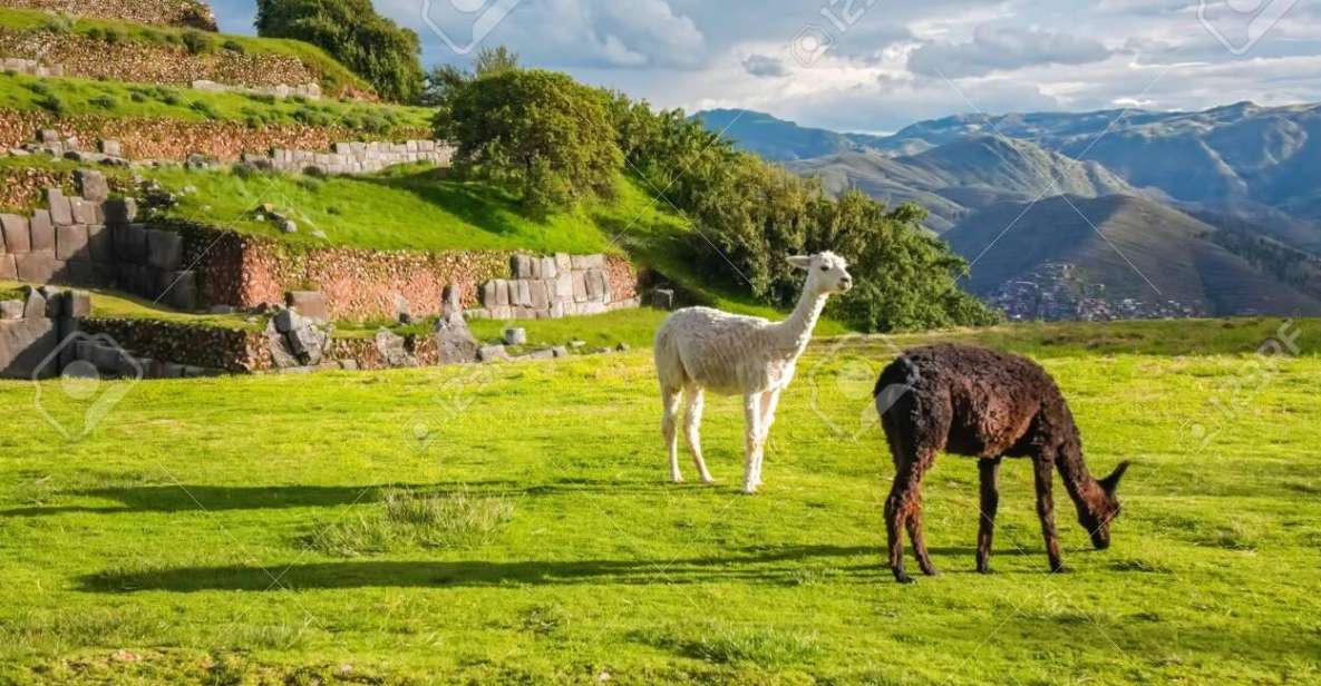 Tour Cusco 7Days 6nights Machupicchu Qeswachaka Bridge - Overview of Cusco Tour Itinerary