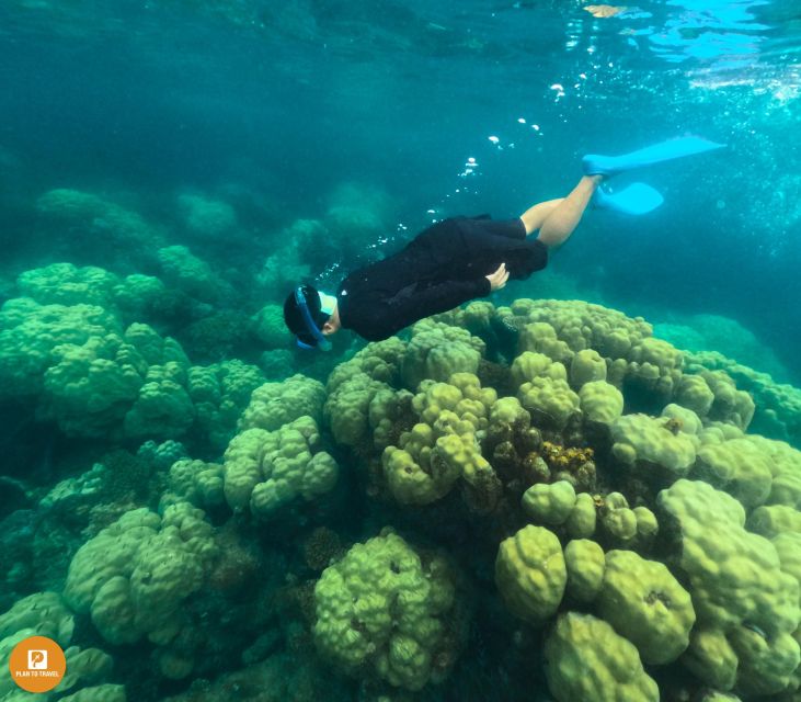 Tour Freediving Phu Quoc: Fascinating Free-Diving Moments - Tour Overview