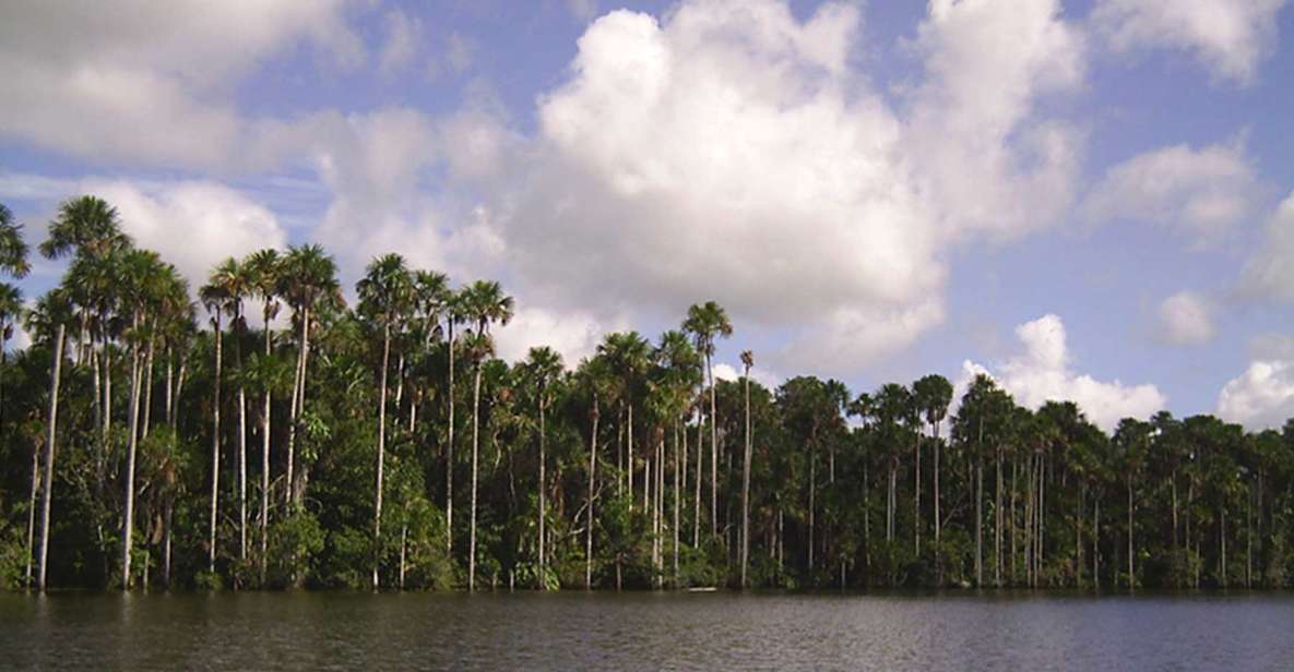 Tour to Tambopata: Amazon Adventure 3d/2n - Itinerary Overview