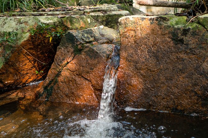 Trek Nui Chua Experience 2D1N, Night in the Jungle - Vinh Hy Bay - Highlights of Vinh Hy Bay