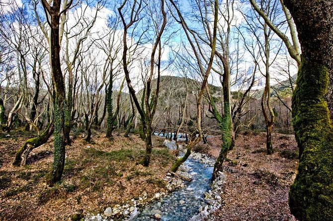 Trekking in Vikos Gorge (3 Days) - Day 1: Starting the Trek in Vikos Gorge