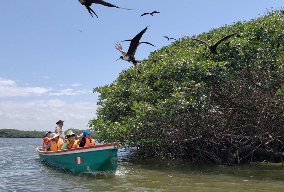 Tumbes: Mangrove National Sanctuary - Small Group Size and Highlights