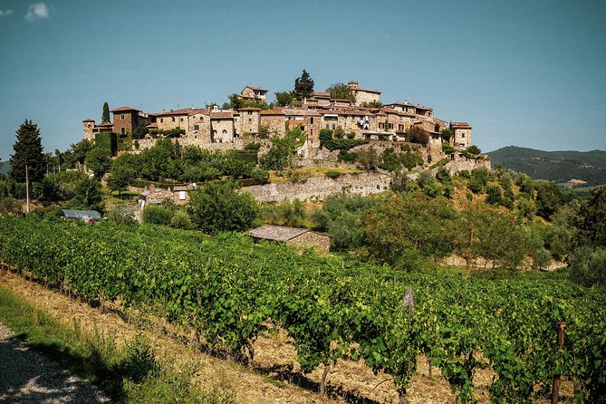 Tuscan Experience! Private Shore Excursion From Livorno - Customer Reviews