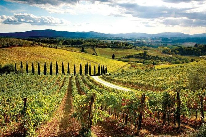 Tuscany by Electric Bike From Florence - Tour Highlights