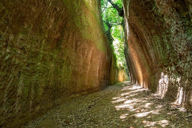 Tuscany Shore Excursion: Civitavecchia to Maremma  - Lake Bracciano - Excursion Highlights