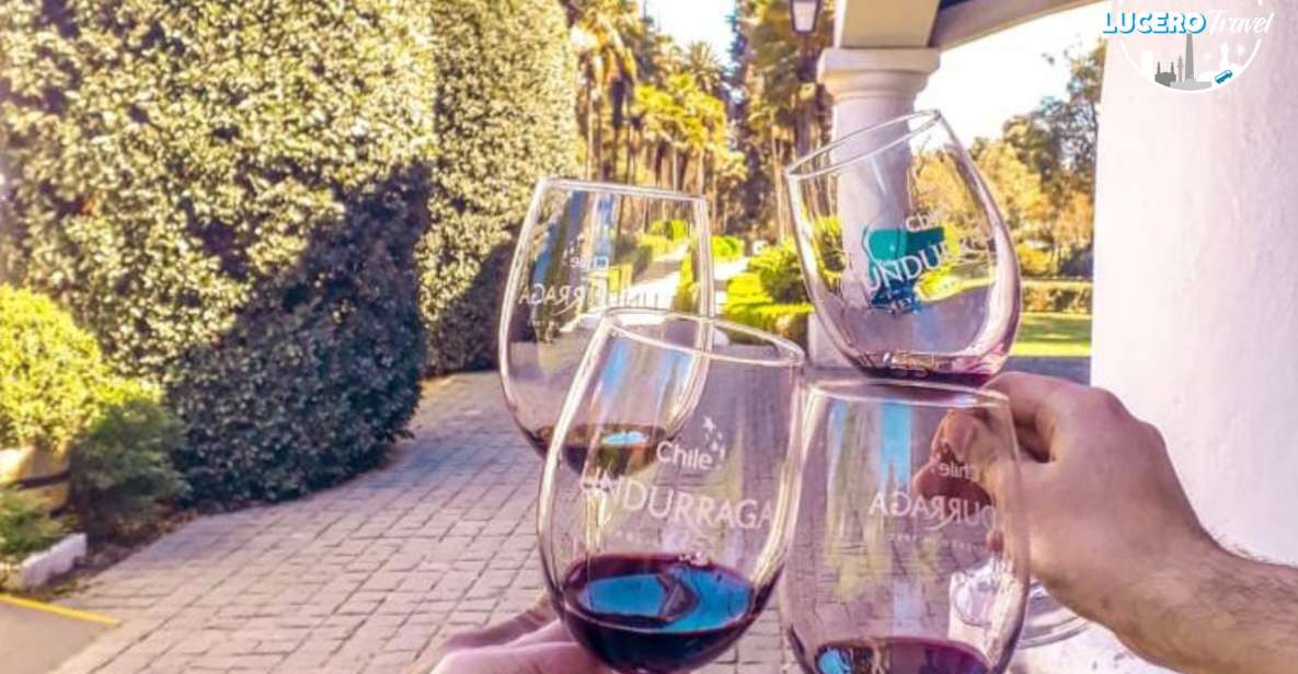 Undurraga Vineyard - Tour Highlights at Undurraga Vineyard