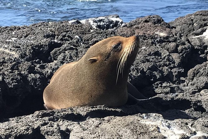 Unveil the Wonders of Galapagos Islands - Location and Unique Biodiversity