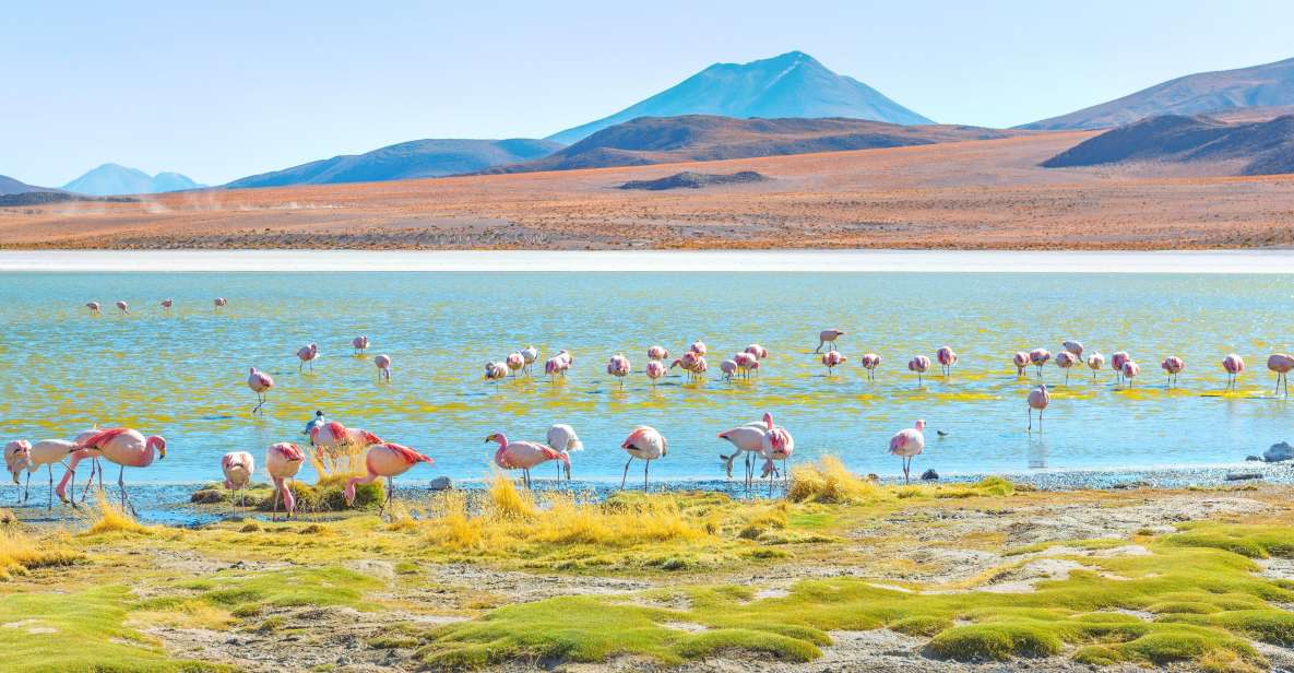Uyuni Salt Flats and Red Lagoon 3-Days English in Guide - Tour Overview