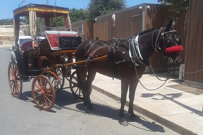 Vallettas Timeless Tales a Historical Walking Guided Tour - Pricing and Options