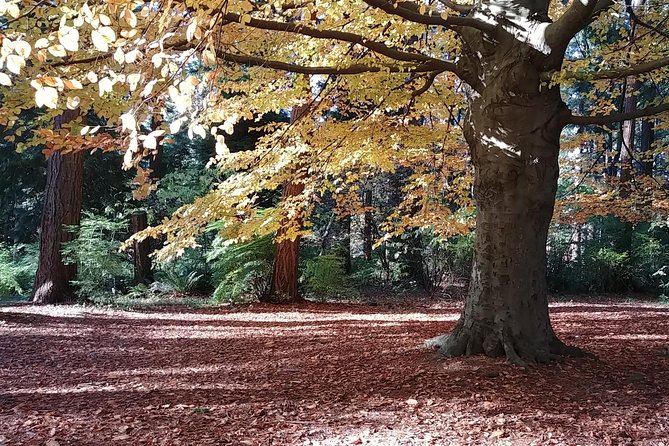 Vancouver City Highlights Explorer Private Tour - Traveler Reviews